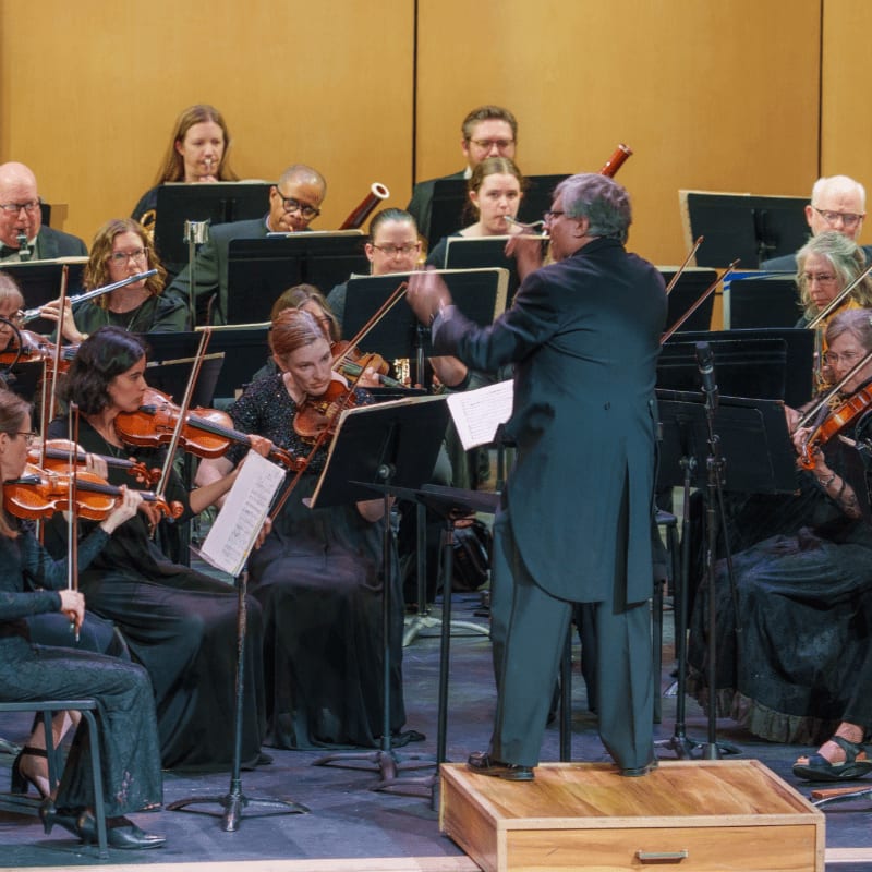 A conductor leads an orchestra of musicians playing various instruments in front of a muted background.