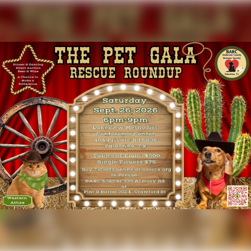 A cat and dog dressed in western attire stand in the foreground with a rustic event poster behind them, set against a backdrop of red curtains and cacti.