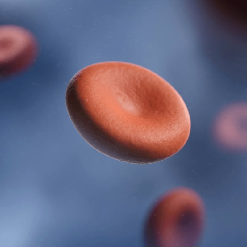 A close-up of a red blood cell with a blurred blue background and other red blood cells.