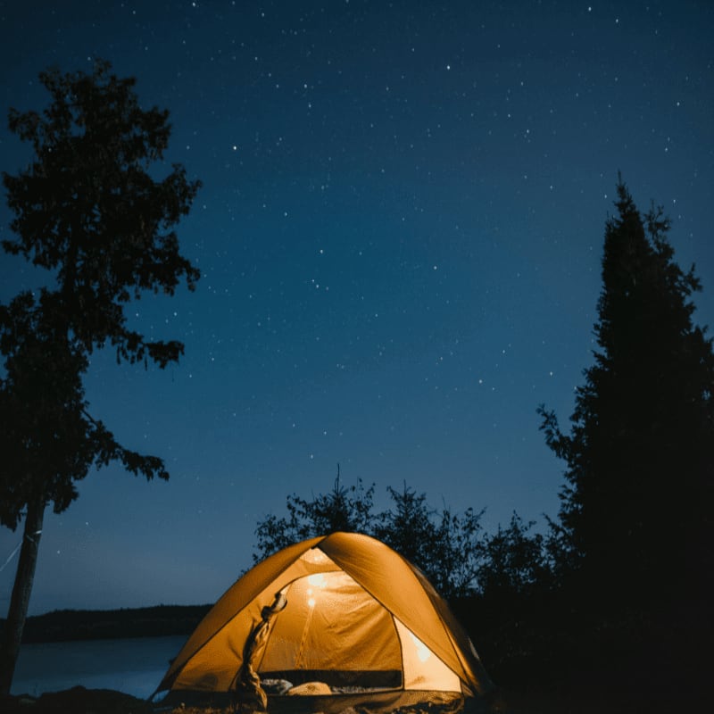 brown dome tent near trees at night