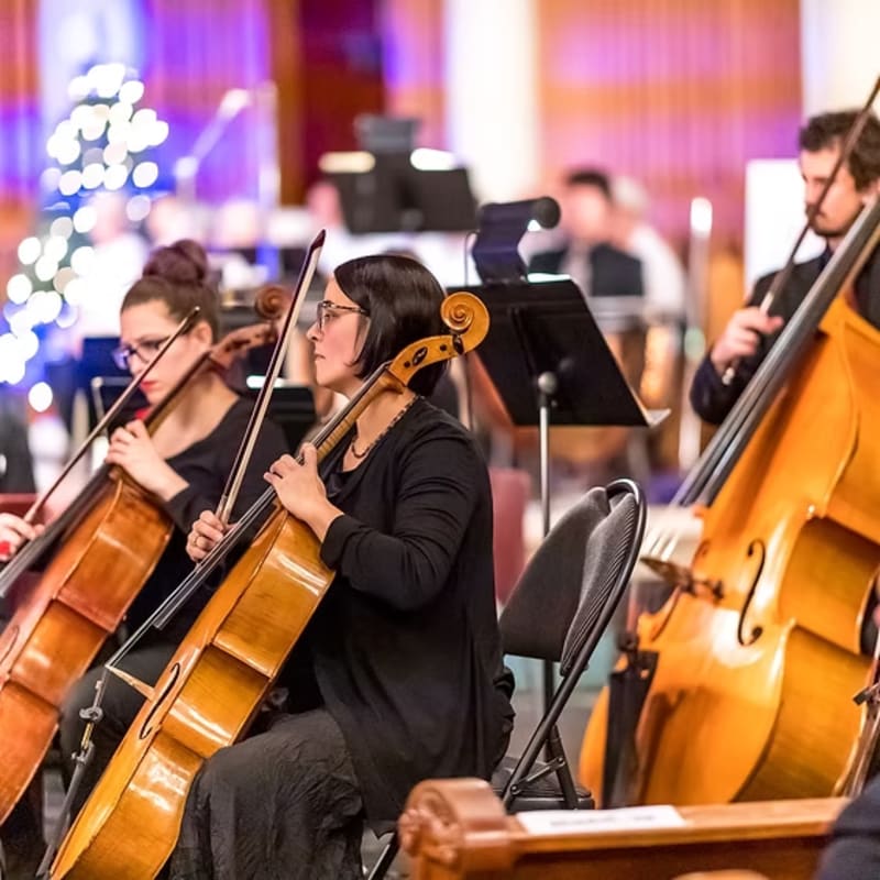 Musicians play cellos in the foreground, with a blurred background of an orchestra and festive lights.
