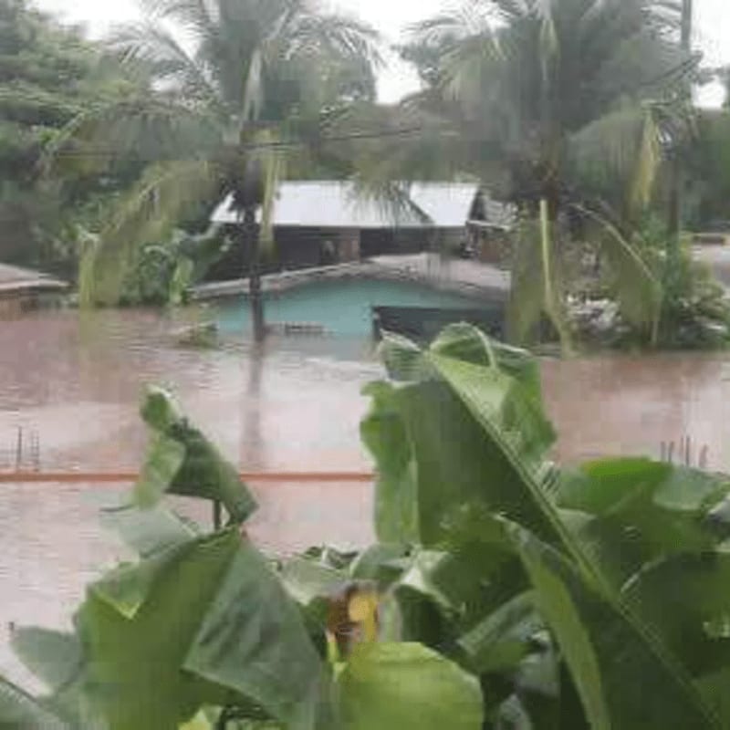 Lush green banana leaves in the foreground frame a flooded village with houses partially submerged in brown water under a cloudy sky.