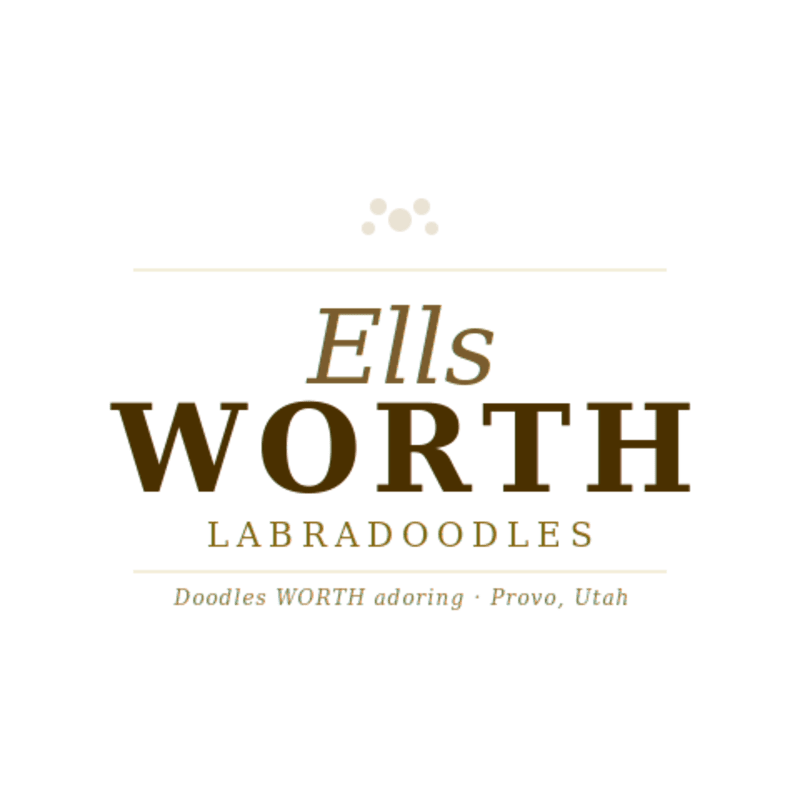 A logo with the words "Ells WORTH LABRADOODLES" in brown text against a white background, with a tagline "Doodles WORTH adoring · Provo, Utah" below.
