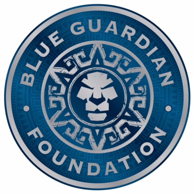 A circular blue emblem with a silver lion's head in the center is set against a white background.