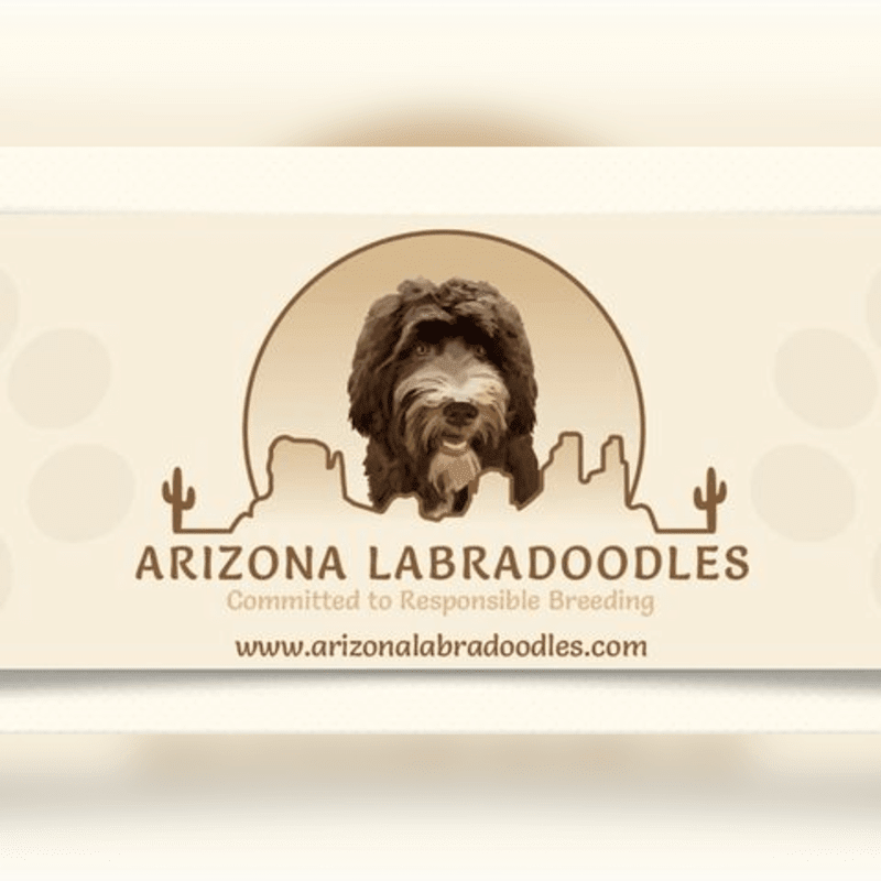 A fluffy brown dog is centered in a sepia-toned logo featuring a desert landscape with cacti and mountains in the background, all set against a light beige, textured backdrop.