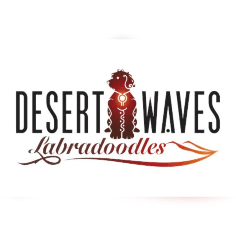 A stylized dog silhouette with tribal markings stands in front of the words "DESERT WAVES Labradoodles" with a desert landscape in the background.
