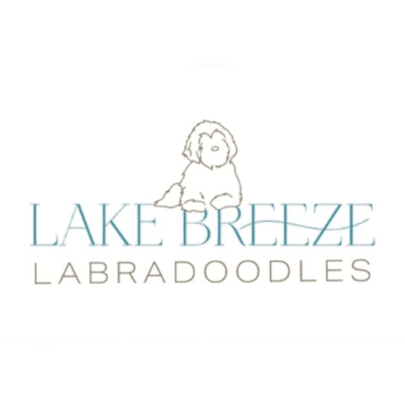 A line drawing of a fluffy dog sits above the words "LAKE BREEZE LABRADOODLES" on a white background.