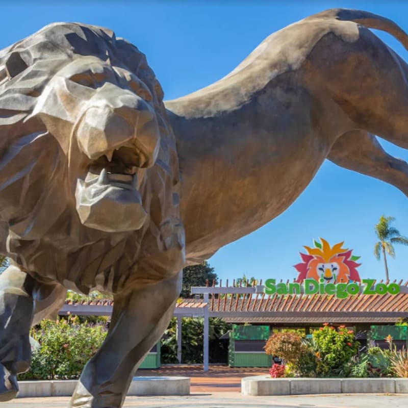 A large lion statue lunges forward in the foreground, with the San Diego Zoo entrance and a palm tree visible in the bright blue sky of the background.