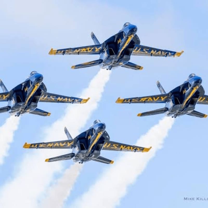Four blue and gold US Navy jets fly in formation against a clear blue sky, trailing white smoke.