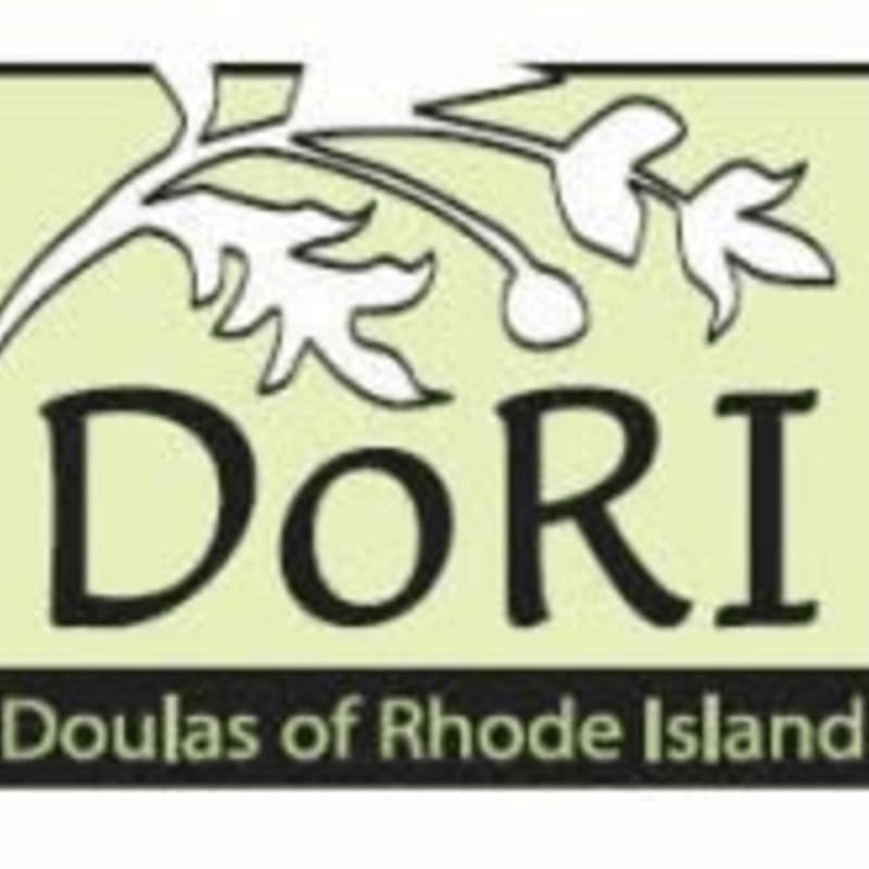 A light green background frames a black logo with the letters "DoRI" in large font above the words "Doulas of Rhode Island" in smaller font, with a stylized branch and leaves arching over the top.