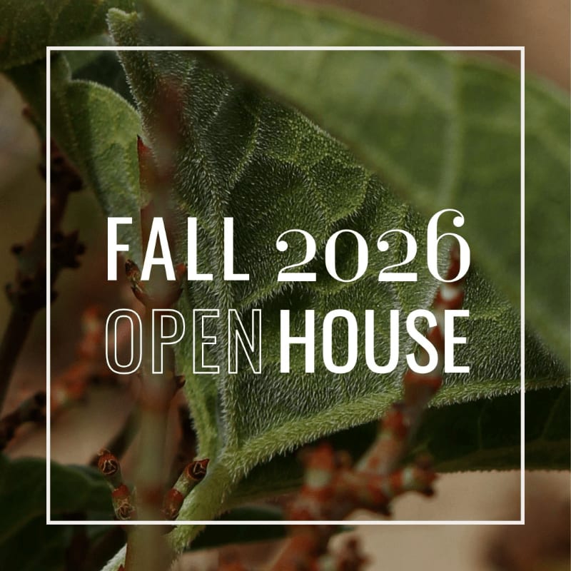 A close-up of fuzzy green leaves and branches fills the foreground, with the text "FALL 2026 OPEN HOUSE" overlaid in white against a blurred background.