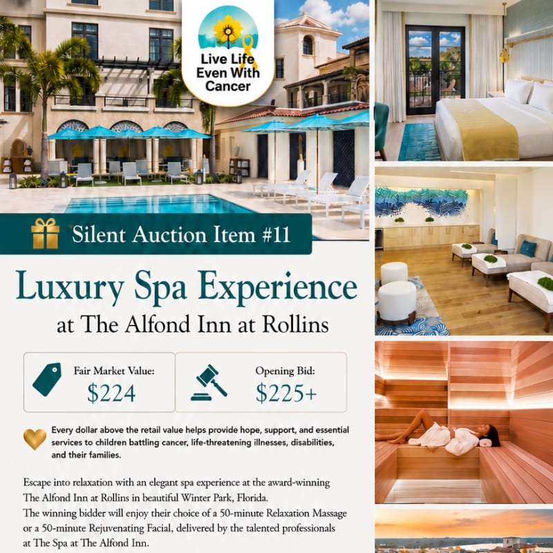 A serene poolside and hotel exterior are in the background, while the foreground features details of a luxury spa experience with pricing and a description of the auction item.
