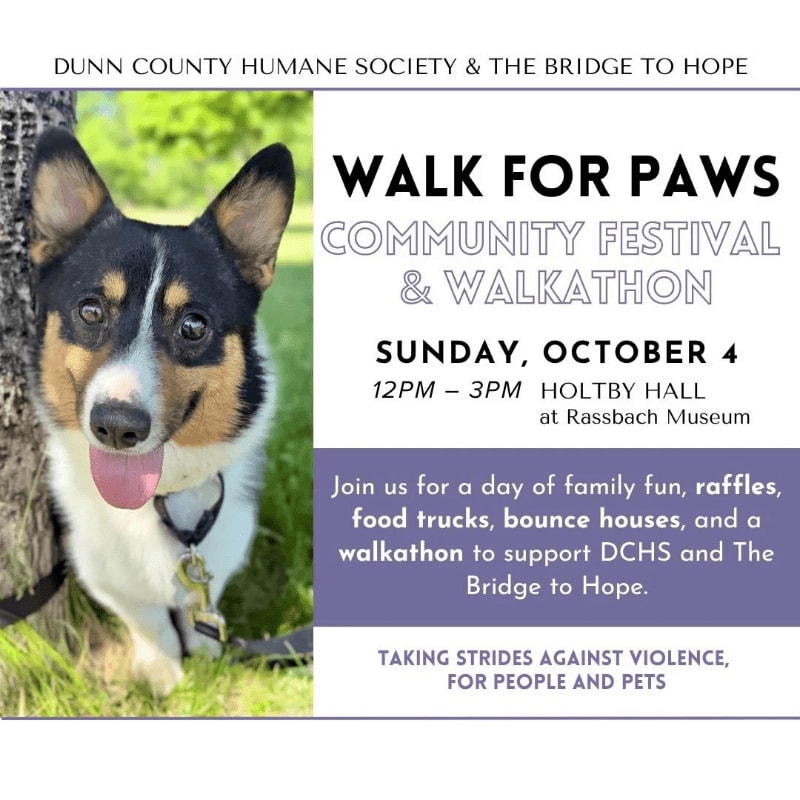A happy dog with a wagging tongue is in the foreground, with event details for the "Walk for Paws Community Festival & Walkathon" in the background.