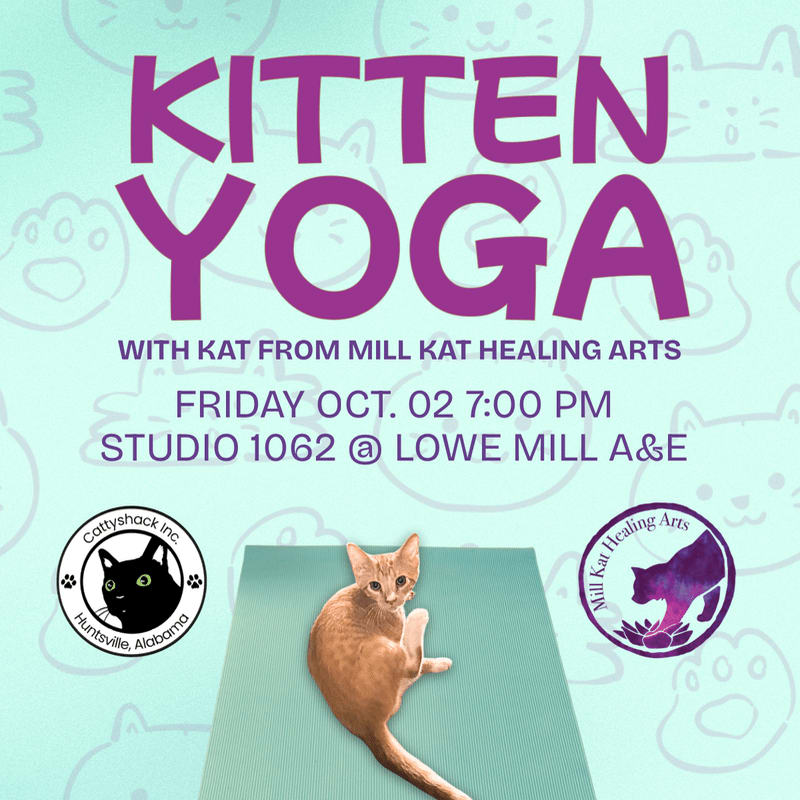 A ginger kitten is posed on a yoga mat in the foreground, with the words "KITTEN YOGA" prominently displayed against a light blue background patterned with cat paws and faces.