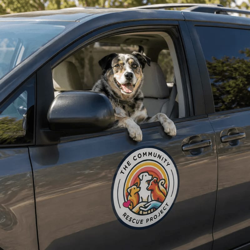 A happy dog with its paws on the car door looks out from the driver's seat, with a "Community Rescue Project" logo on the car and trees in the background.