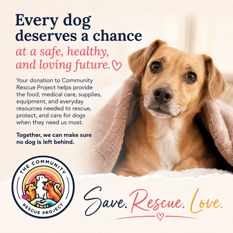A tan dog is nestled under a blanket in the foreground, with text about dog rescue and a logo in the background.