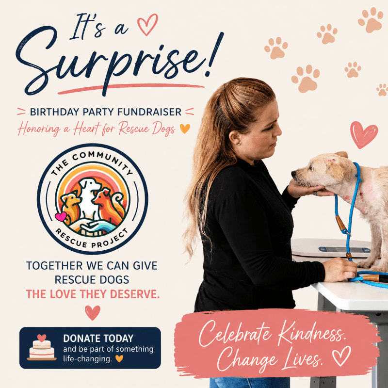 A woman gently pets a rescue dog in the foreground, while the background features a graphic promoting a birthday party fundraiser for rescue dogs.