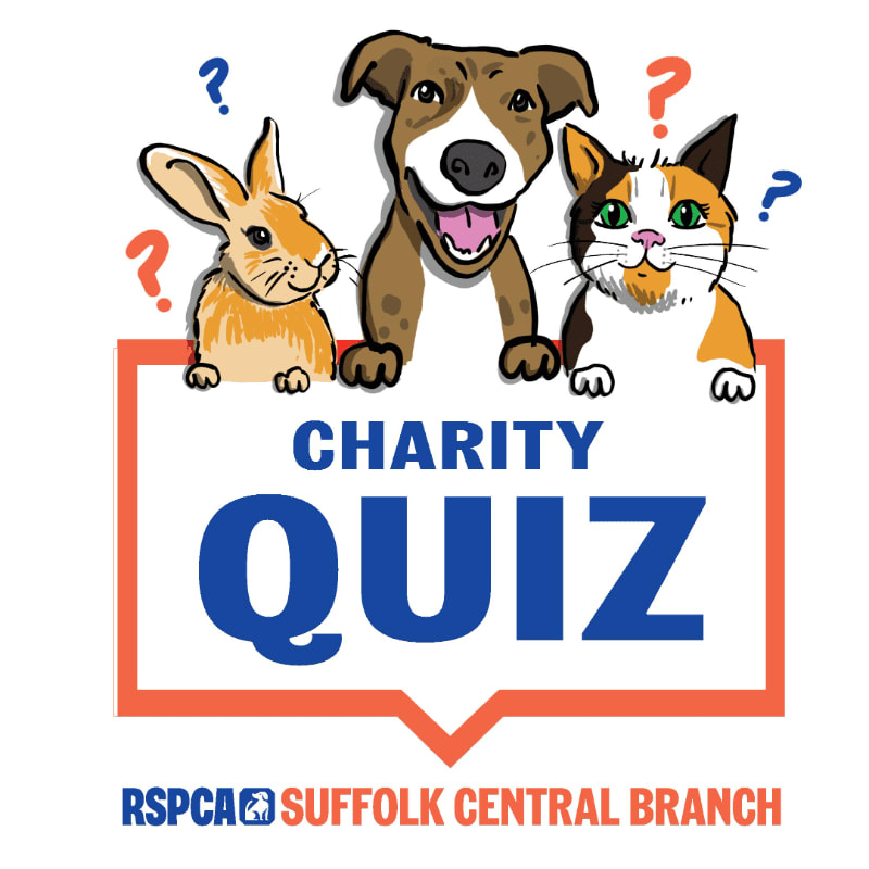 A cartoon rabbit, dog, and cat peek over a sign for a "Charity Quiz" hosted by RSPCA Suffolk Central Branch, with question marks floating around their heads.