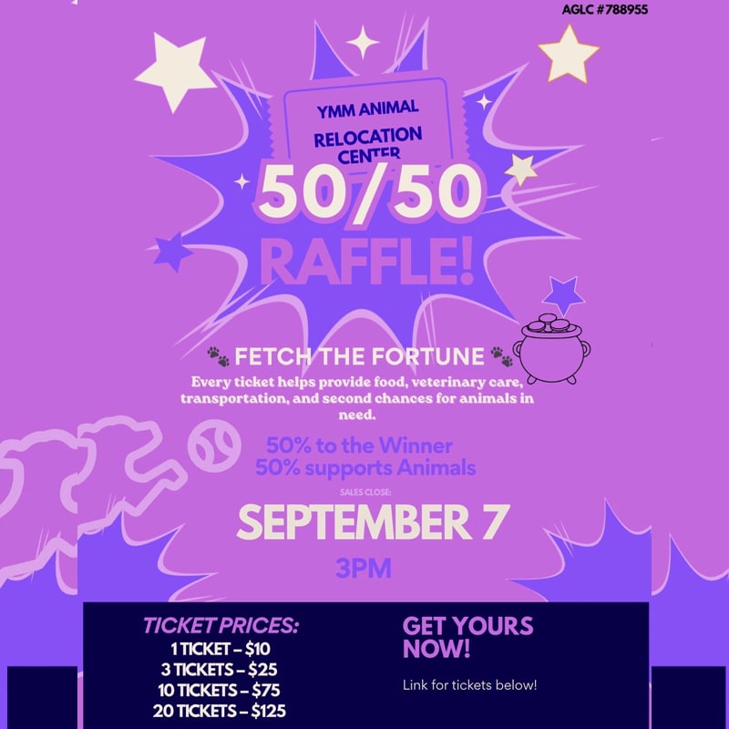 A purple flyer advertises a 50/50 raffle for the YMM Animal Relocation Center, with ticket prices and event details at the bottom, set against a background of stars and cartoon animals.