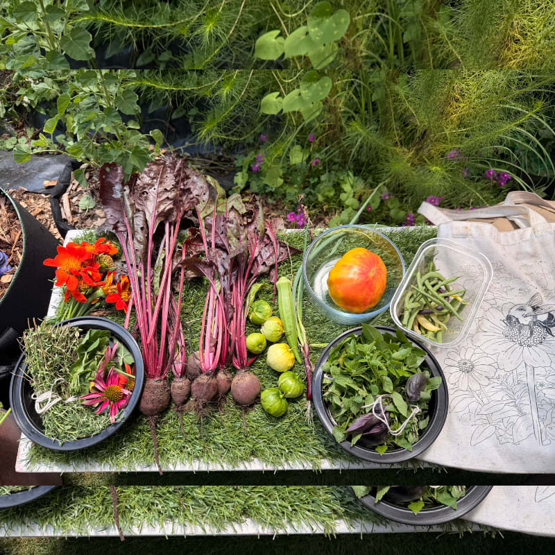 Freshly harvested vegetables and herbs are arranged on a patch of artificial grass in the foreground, with lush green foliage and purple flowers in the background.