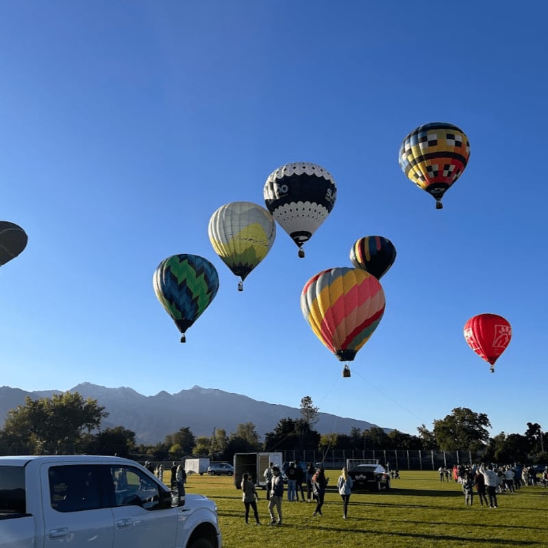 Several colorful hot air balloons ascend into a clear blue sky above a grassy field with a white truck in the foreground and distant mountains in the background.