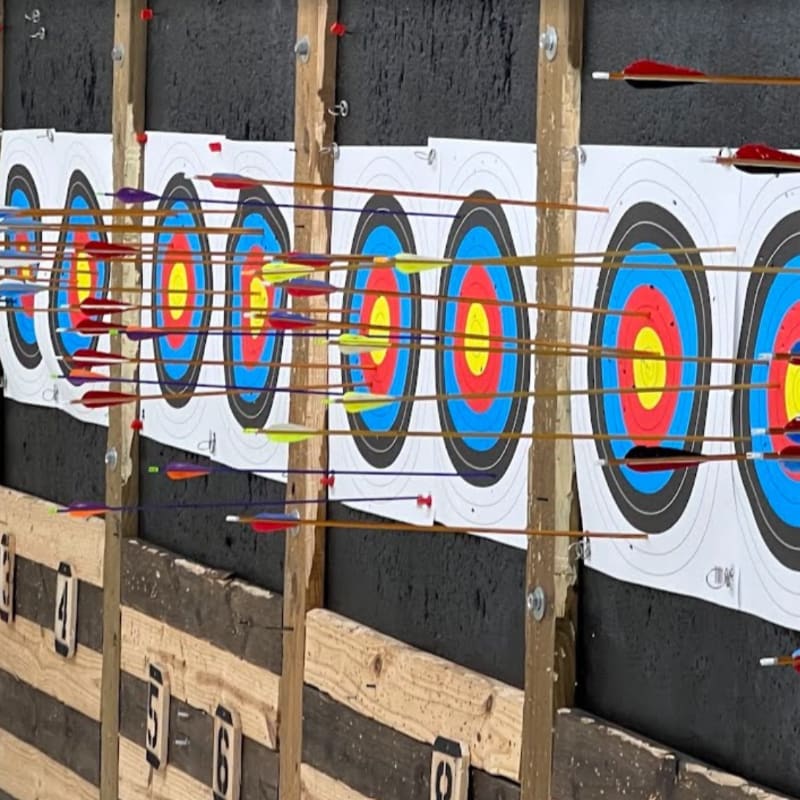 Arrows are embedded in multiple archery targets lined up in the foreground, with a dark, textured background behind them.
