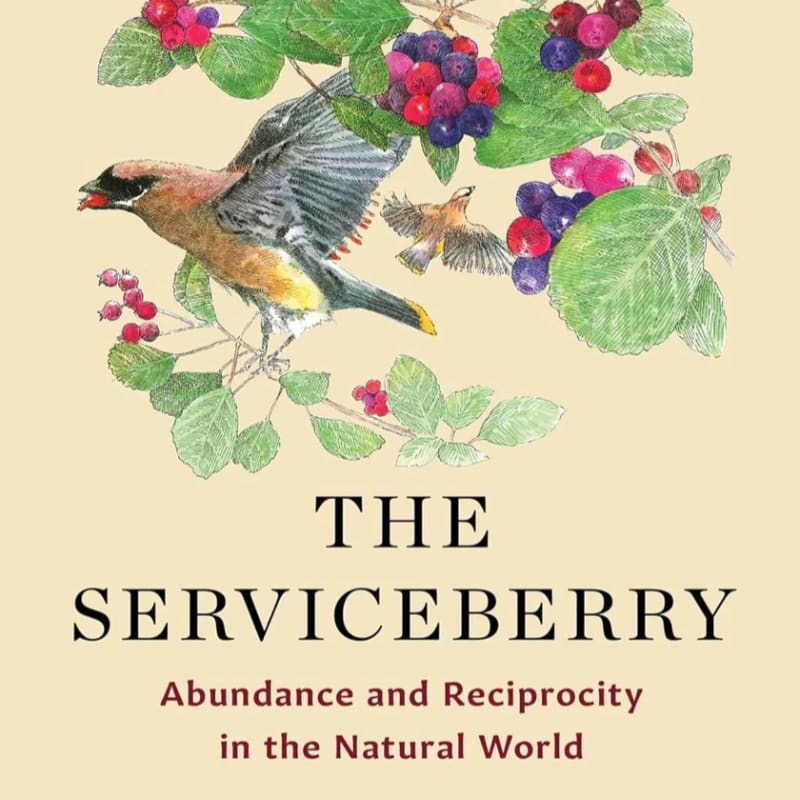 A detailed illustration of birds perched on a branch laden with serviceberries fills the upper portion of the image, set against a plain, light-colored background with the title "THE SERVICEBERRY" and subtitle "Abundance and Reciprocity in the Natural World" centered below.