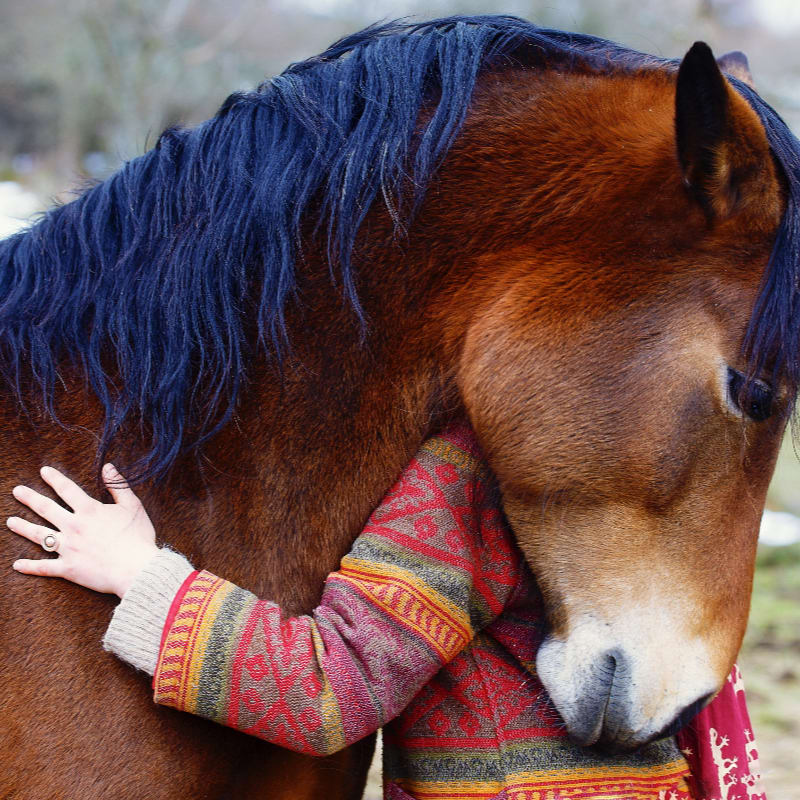 A person in a patterned sweater hugs a brown horse with a dark mane, with a blurred, natural background.