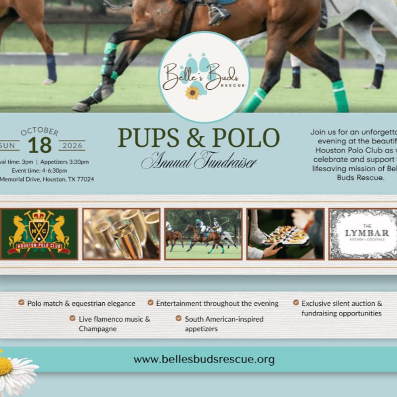 In the foreground, a daisy and event details are visible, while the background features horses and polo players at a fundraiser.