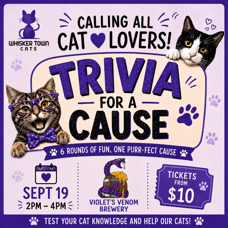 A black and white cat peeks over the top of a "Trivia for a Cause" poster, while a tabby cat wearing glasses and a bowtie is featured on the left, all set against a purple background with paw prints and event details.