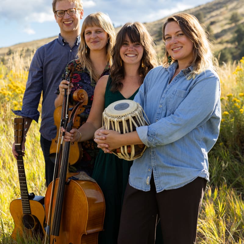 Four musicians, two women and two men, pose with their instruments in a field of tall grass and wildflowers, with rolling hills in the background.