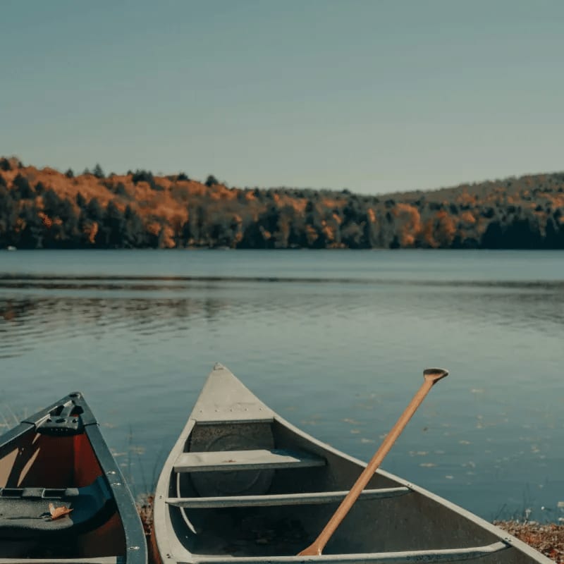 Two canoes rest on a grassy shore in the foreground, with a calm lake and a tree-covered hillside in the background under a clear sky.