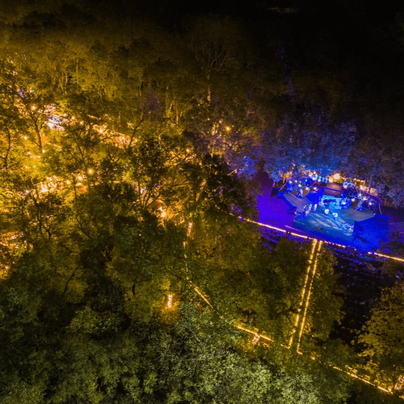 A brightly lit clearing with a gathering of people is surrounded by a dark, tree-filled forest illuminated by warm yellow and cool blue lights.