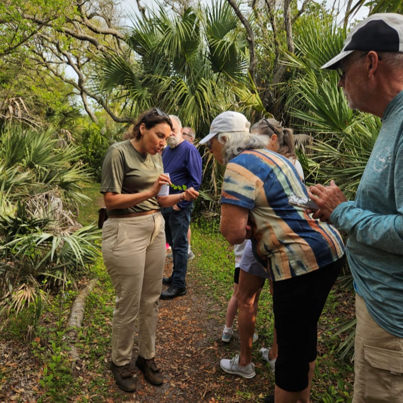 A park ranger in khaki pants and a green shirt shows leaves to a group of people in a lush, green forest with palm trees.