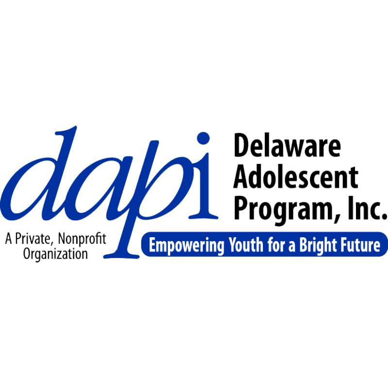 A blue logo with the text "dapi" in cursive and "Delaware Adolescent Program, Inc." in block letters, with the tagline "Empowering Youth for a Bright Future" below, is set against a white background.