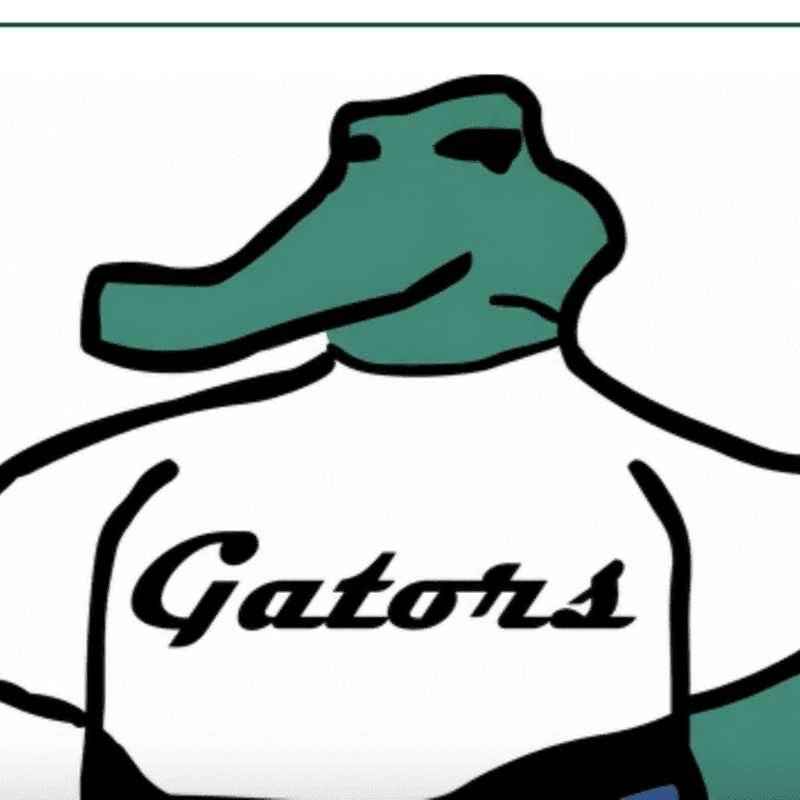 A cartoon alligator wearing a white shirt with "Gators" written on it stands against a white background.