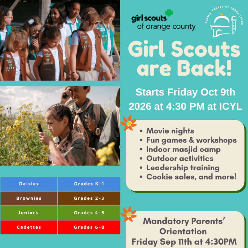 A group of young Girl Scouts in uniform are walking in the background, while in the foreground, a girl is examining a plant with a magnifying glass.