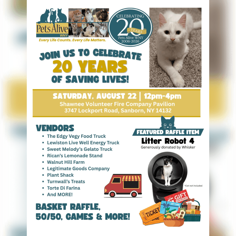 A flyer announces a 20th anniversary celebration for Pets Alive WNY, featuring a white cat in the background and a list of vendors and raffle items in the foreground.