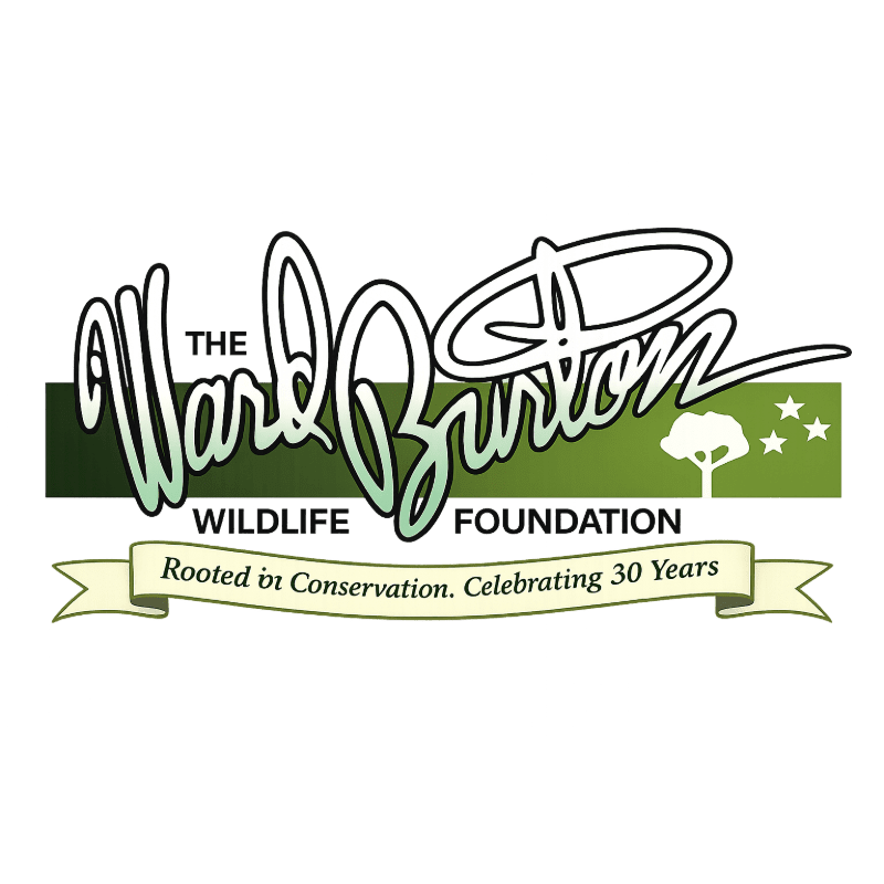 A logo with the text "The Ward Burton Wildlife Foundation" in stylized script over a green banner, with a ribbon below reading "Rooted in Conservation. Celebrating 30 Years."