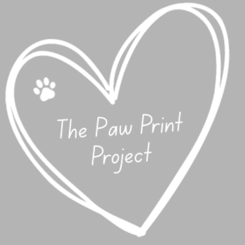 A white heart outline with a paw print and the text "The Paw Print Project" inside is centered on a gray background.