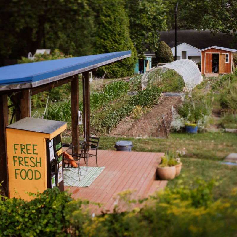A bright yellow "FREE FRESH FOOD" stand sits on a wooden deck in the foreground, with a lush garden and small outbuildings in the background.