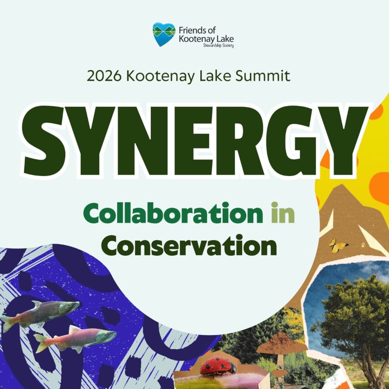 The foreground features stylized fish and abstract blue patterns, while the background is a collage of natural elements like trees, mushrooms, and a ladybug, all under the title "SYNERGY: Collaboration in Conservation" and the "Friends of Kootenay Lake" logo.
