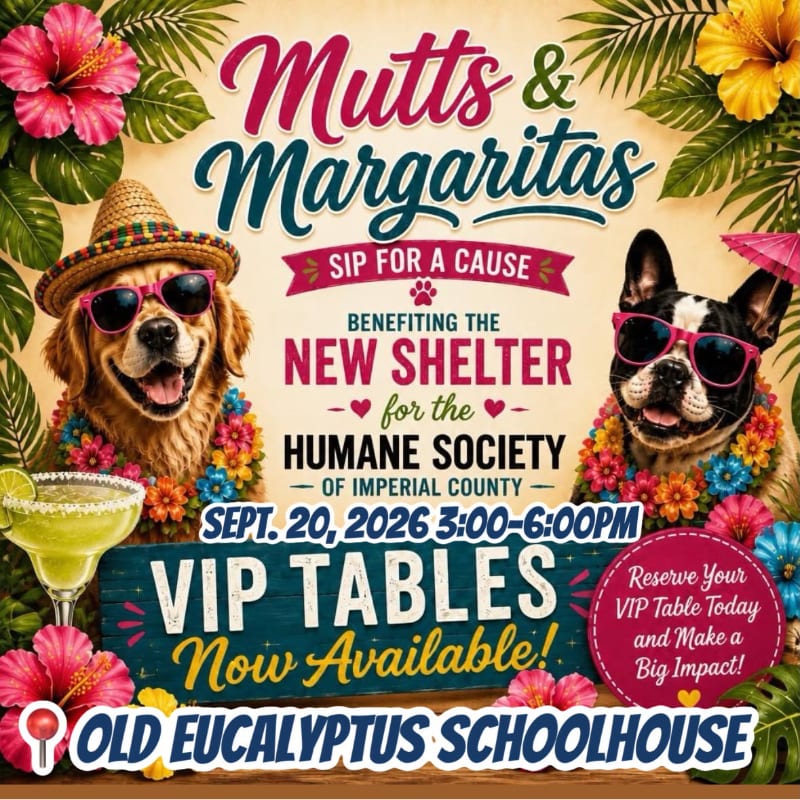 Two dogs, one wearing a straw hat and sunglasses, and the other a French bulldog with pink sunglasses, are featured in the foreground with tropical flowers and a margarita, while the background displays event details for "Mutts & Margaritas" benefiting the Humane Society.