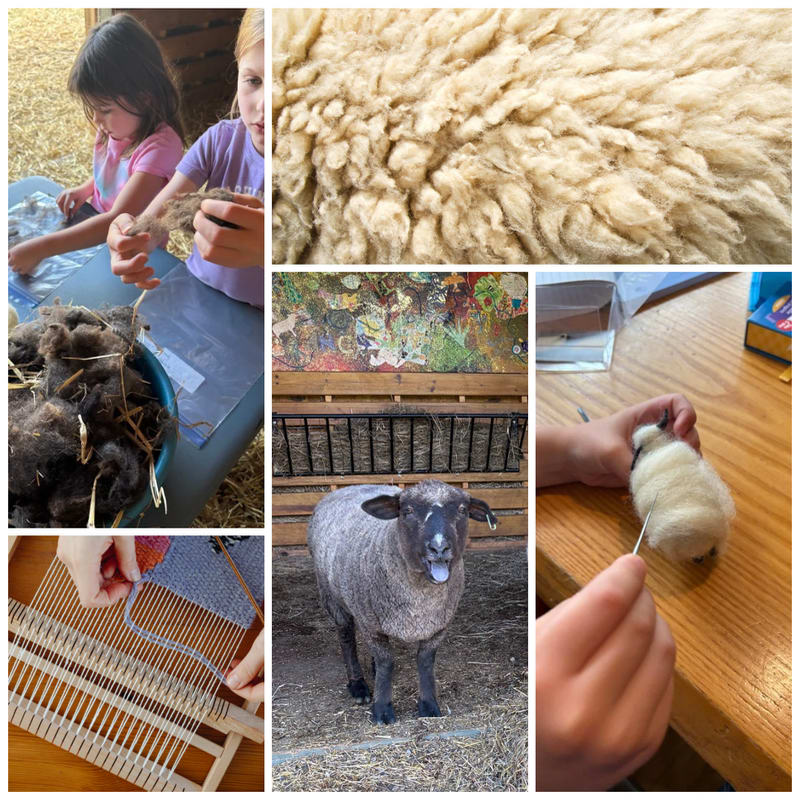 Two girls are working with wool in the foreground, while a sheep stands in a pen in the background.