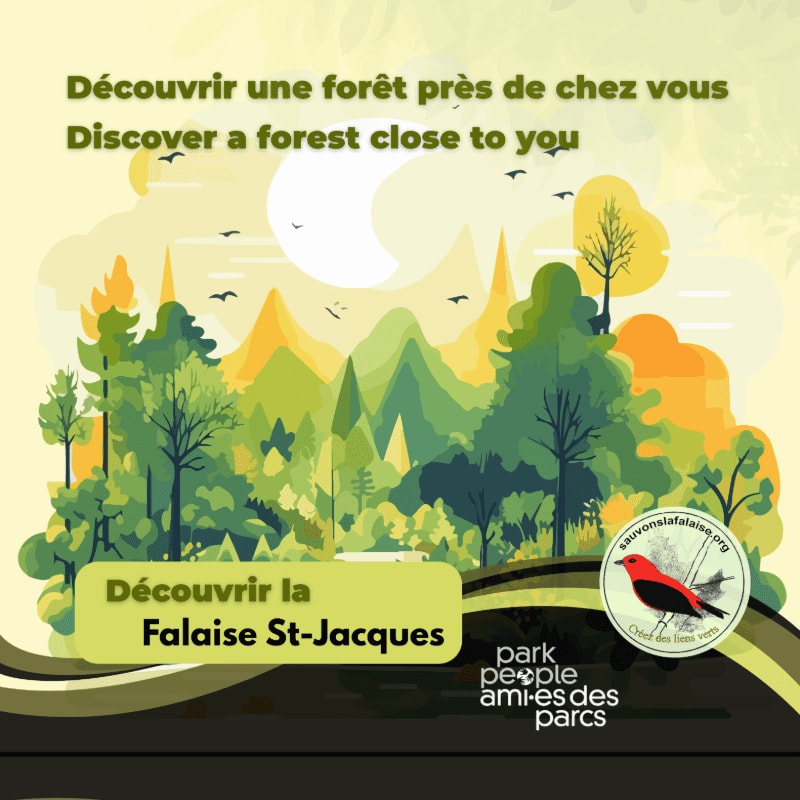 A stylized forest with a bird in the foreground and mountains in the background is advertised with French and English text.