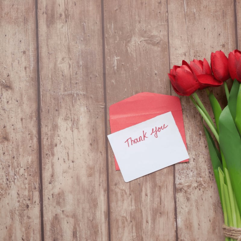 red tulips on white printer paper