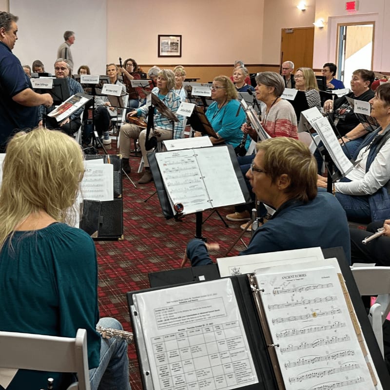 A conductor leads an orchestra of musicians in a room with a patterned carpet and a framed picture on the wall.