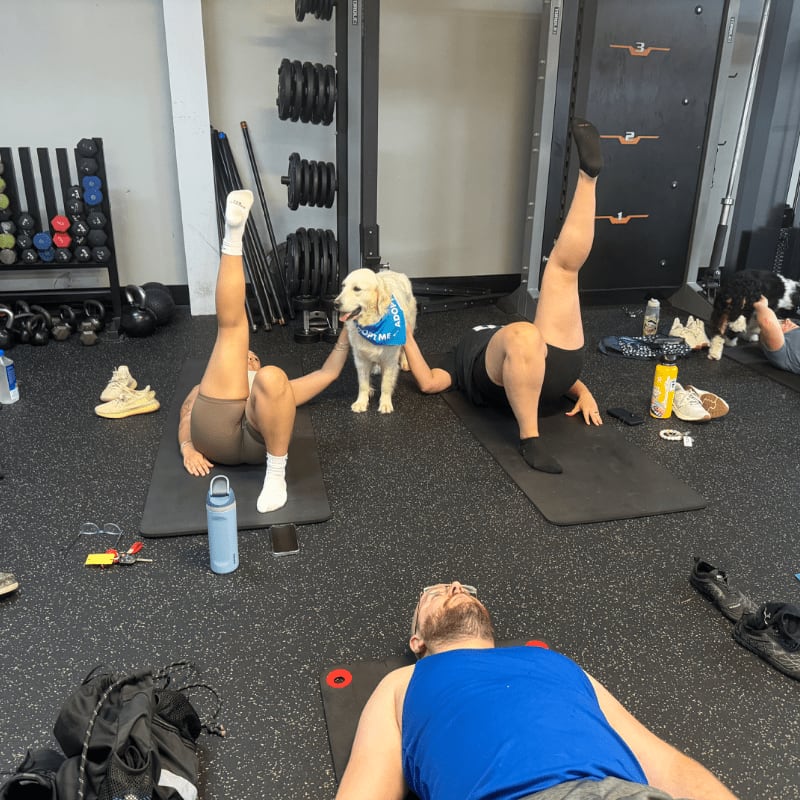 A golden retriever stands between two people doing glute bridges on yoga mats in a gym with weight racks and equipment in the background.