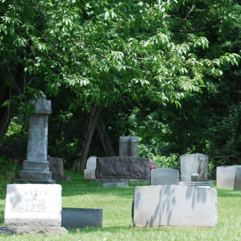 A sunlit cemetery foreground with weathered headstones is set against a lush, green background of trees.