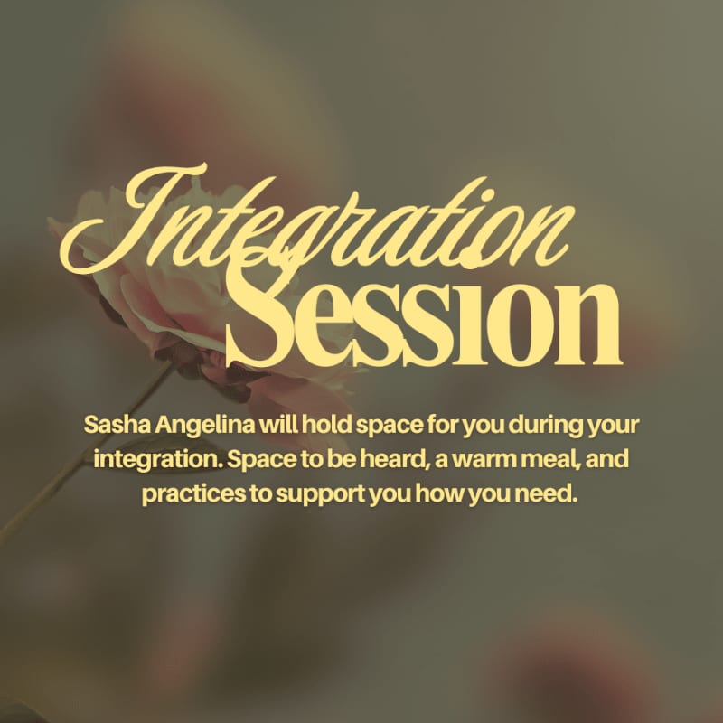 A soft-focus pink rose in the foreground is overlaid with elegant text announcing an "Integration Session" with Sasha Angelina, promising a supportive experience.